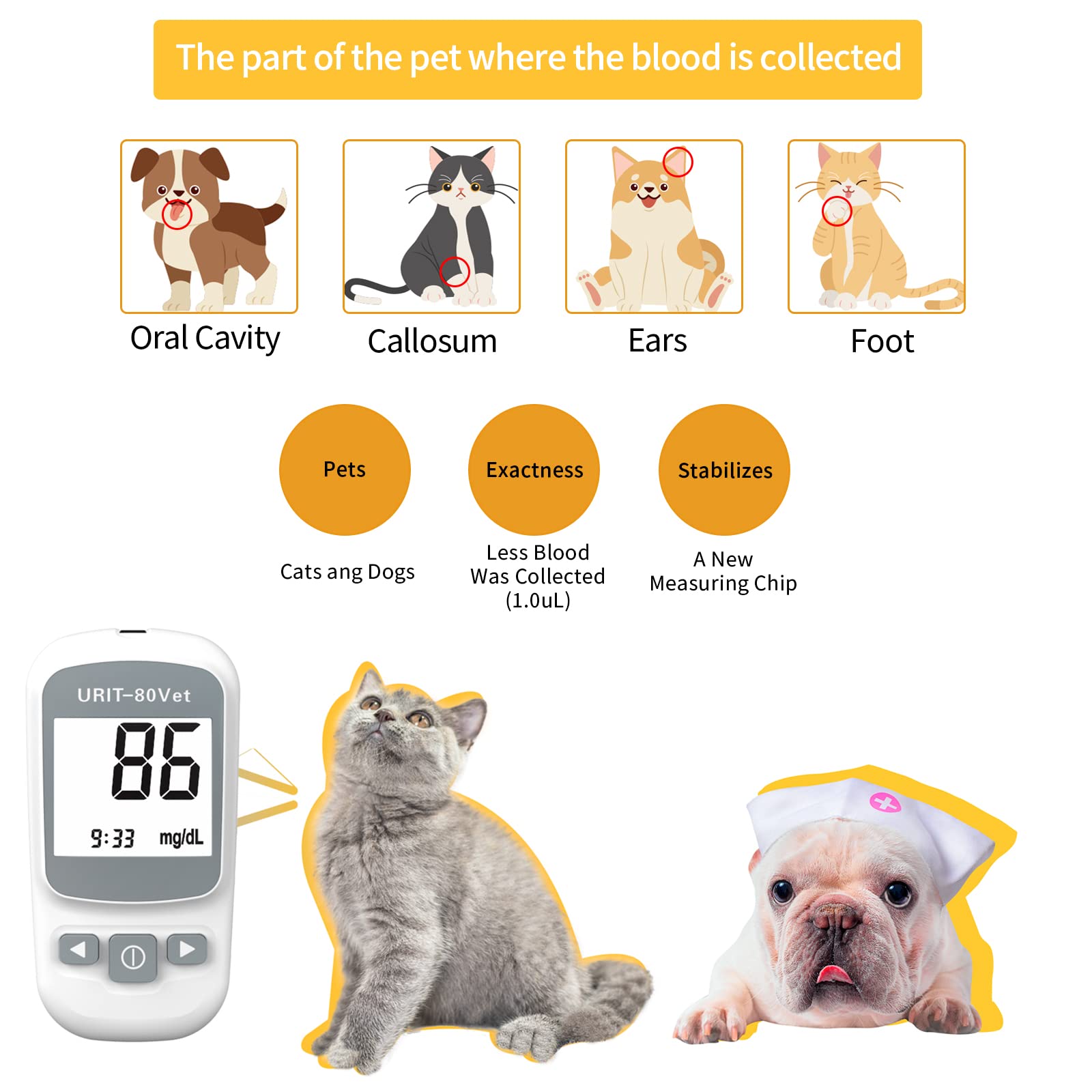 URIT-80Vet display closeup with clear readout for reliable monitoring