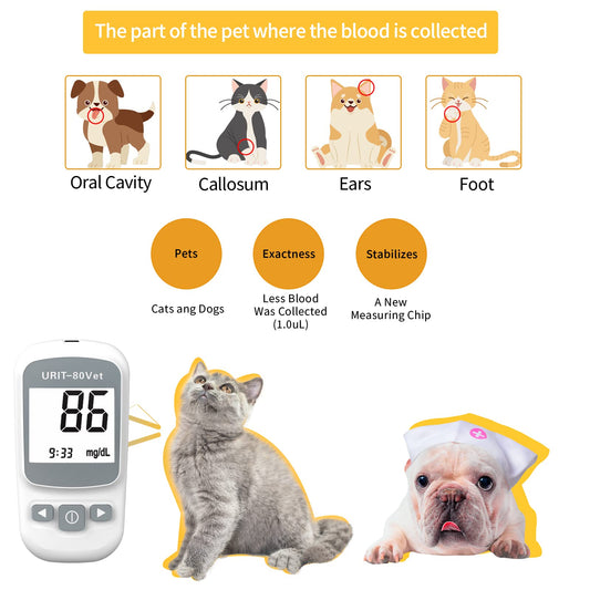 URIT-80Vet display closeup with clear readout for reliable monitoring