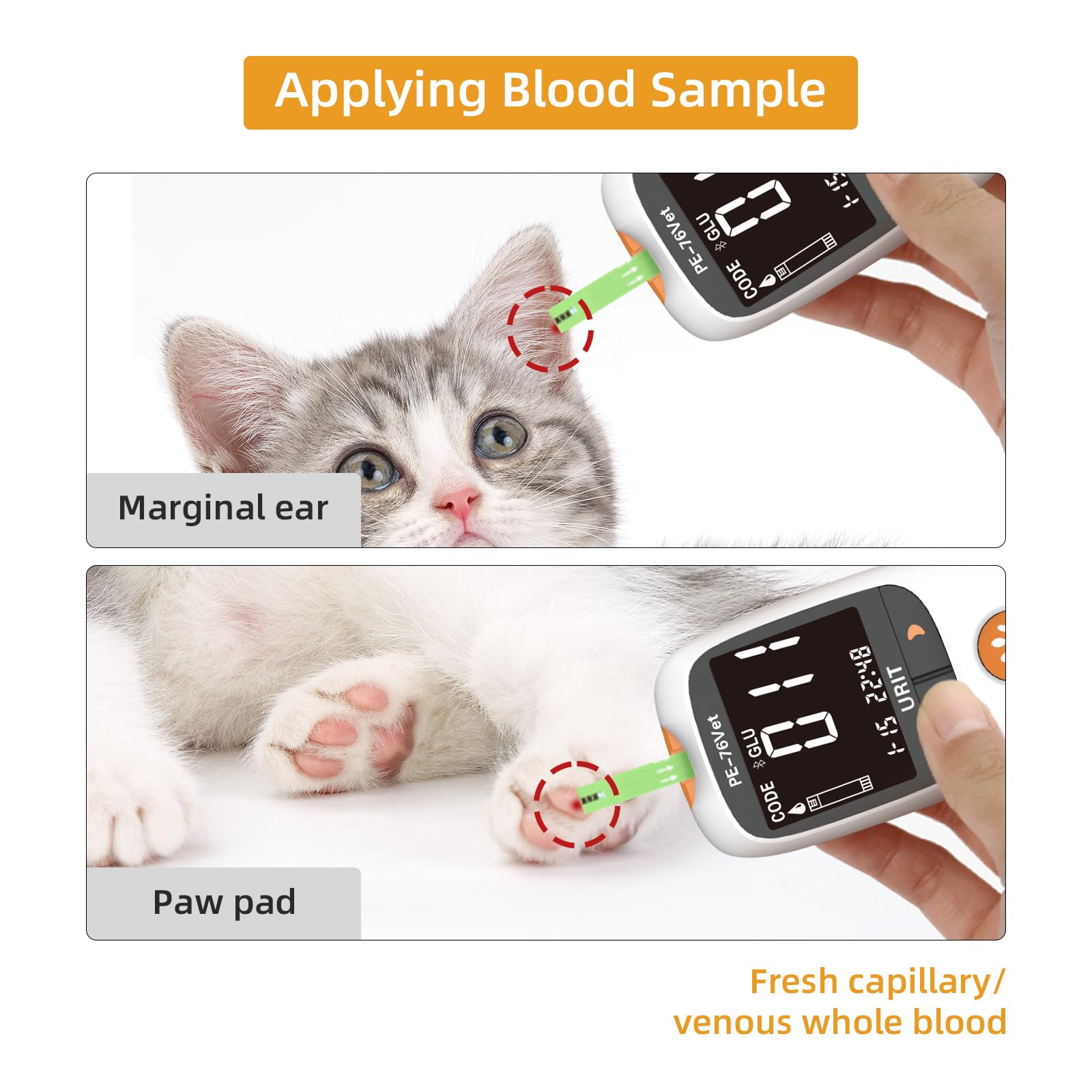 URIT pet glucose meter kit display showing clear readings.