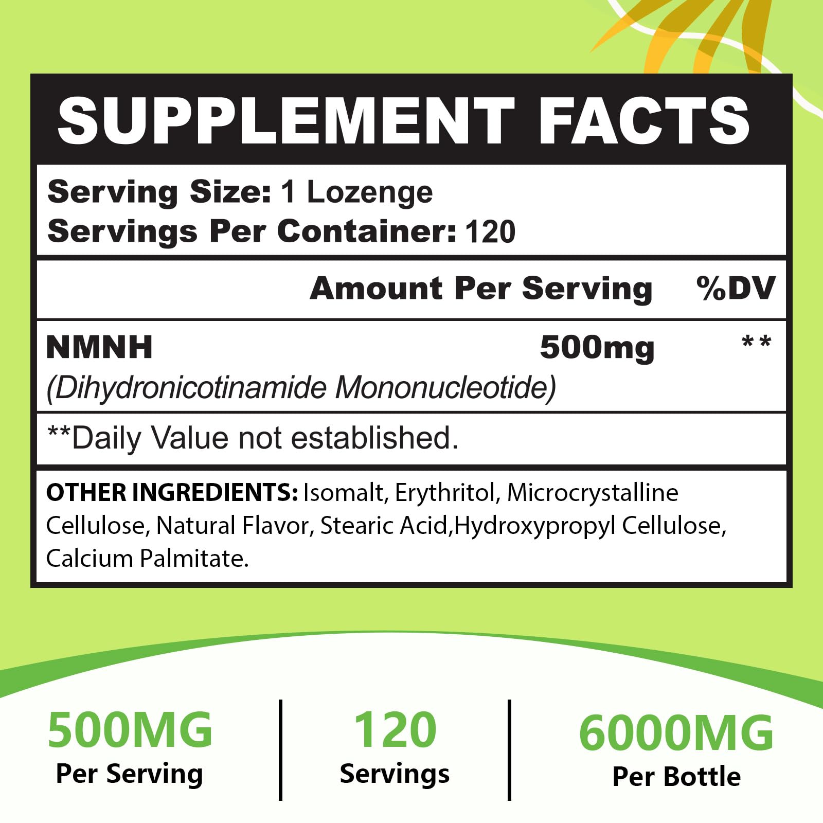 Ursinquil NMNH NAD support for energy and cellular health in daily routine.
