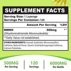 Ursinquil NMNH NAD support for energy and cellular health in daily routine.