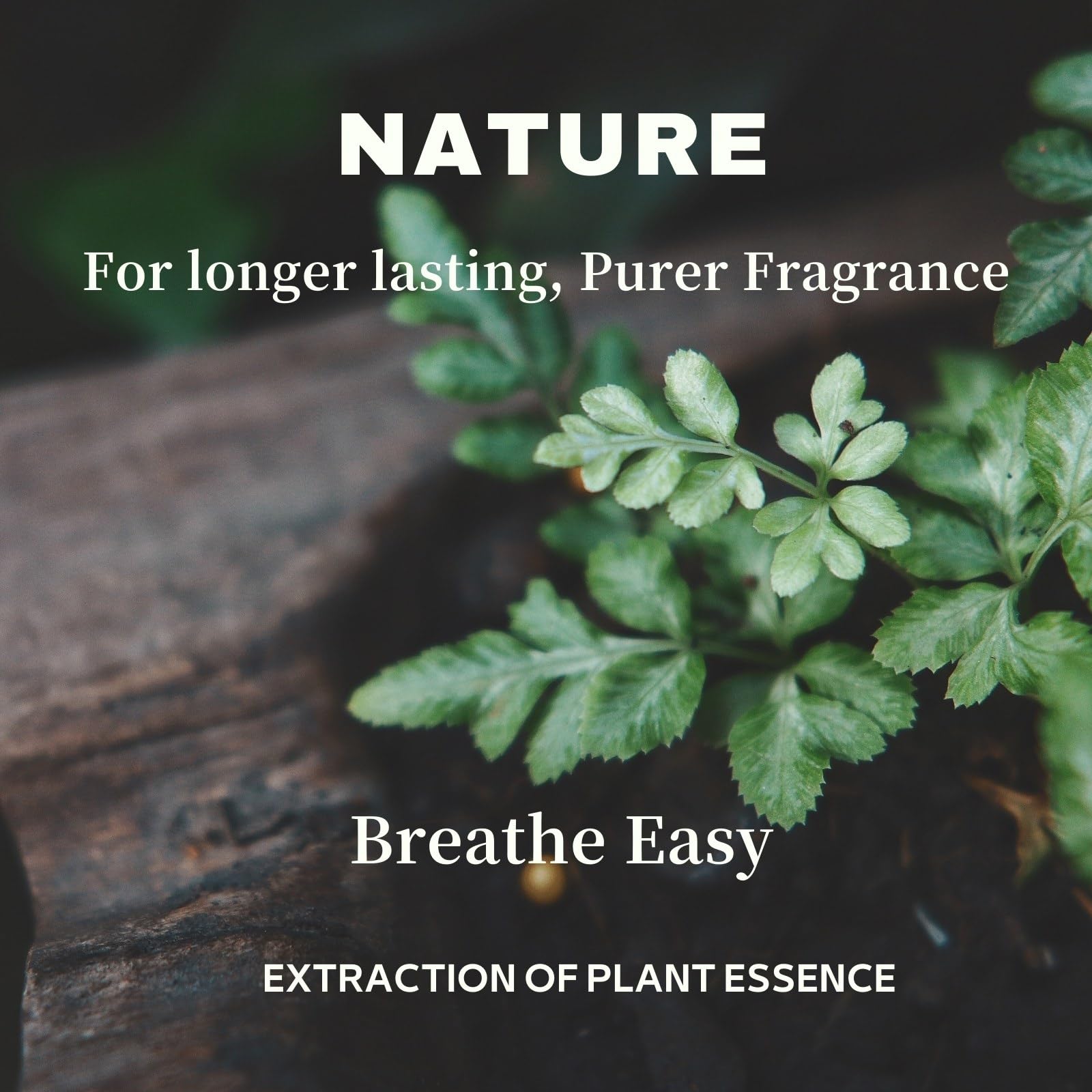 USMLMOOT Santal Essential Oil luxury-hotel ambience enhances home relaxation.