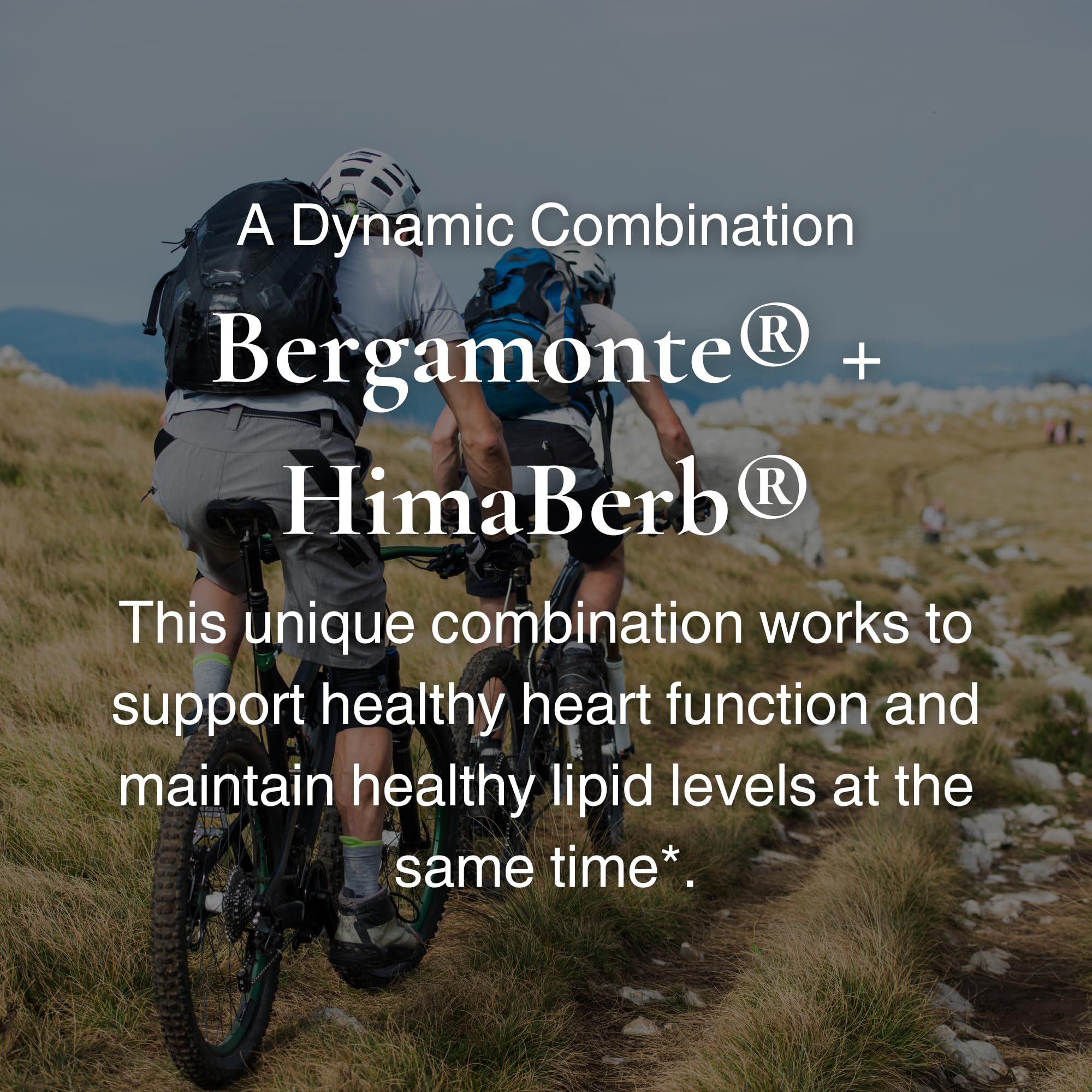 Utzy Naturals Berbercol dosage pack; convenient daily regimen.