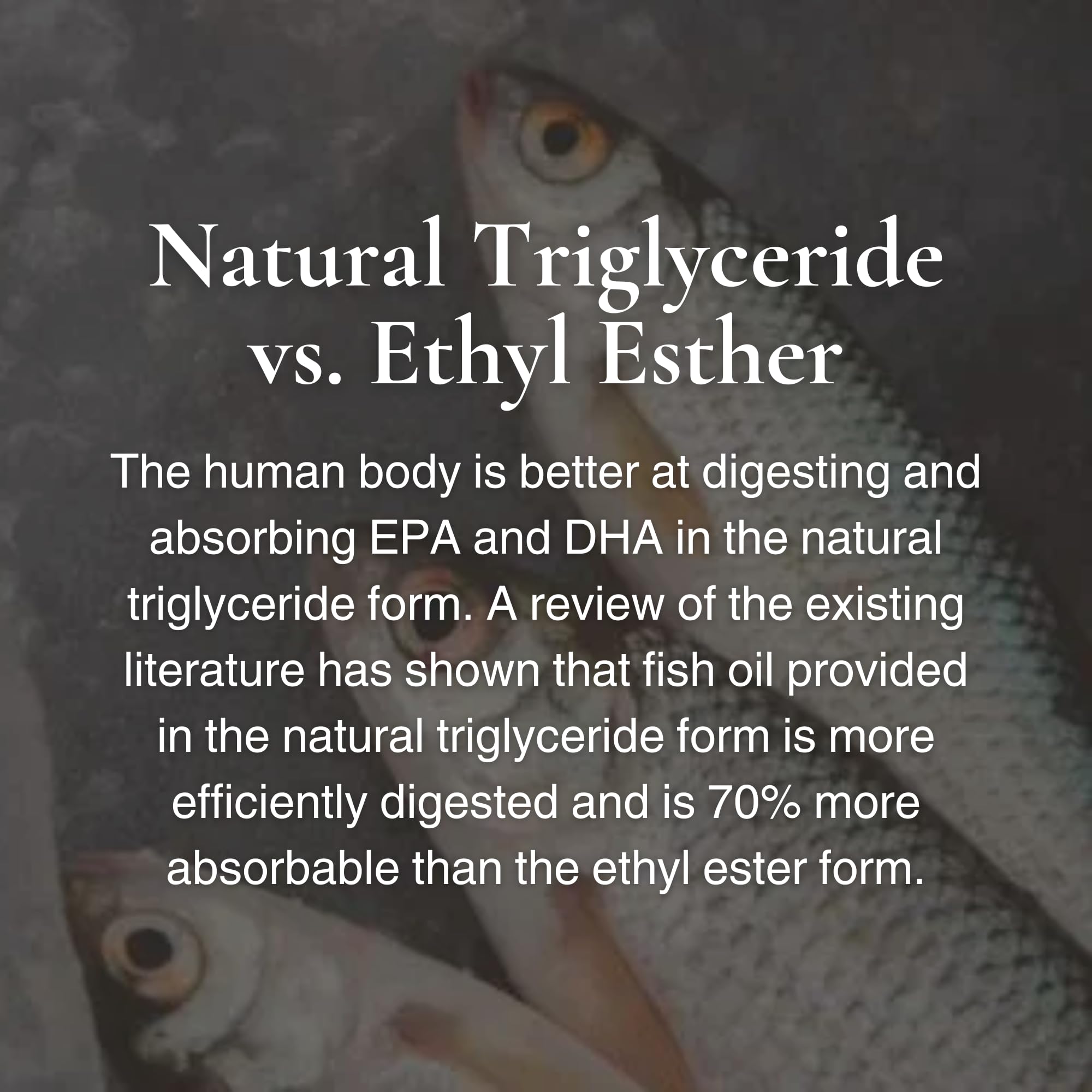 Utzy Naturals Omega-3 softgel macro texture shows capsule quality and clarity.