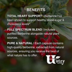 Utzy Naturals TriBerine ingredients-chart features Coptis and Oregon Grape Root