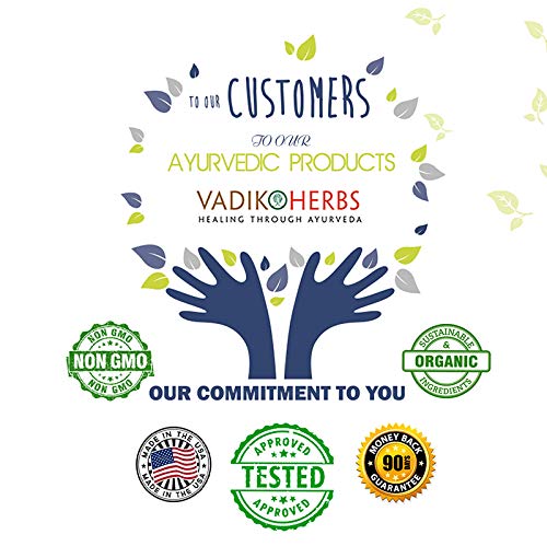 Vadik Herbs Kutaj capsules closeup for convenient on-the-go use