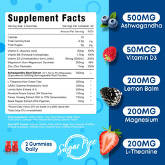 Vazatisi Ashwagandha Gummies mixed-berry chews for convenient daily use.