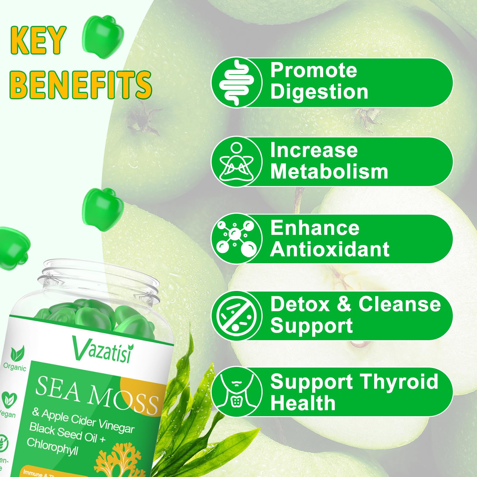 Two Vazatisi bottles displayed with 120 vegan gummies for clean daily nutrition.