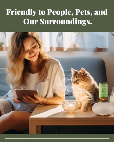 VEDA TINDA SCENT diffuser in use, silent aromatherapy in office