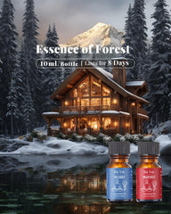 VEDA TINDA SCENT master perfumers blends delivering balanced hotel-inspired notes