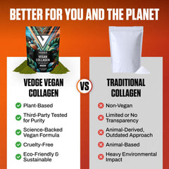 VEDGE vegan collagen powder blended into a fruit smoothie.