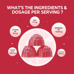 VEETAGYO Berberine ingredients panel, transparent details.