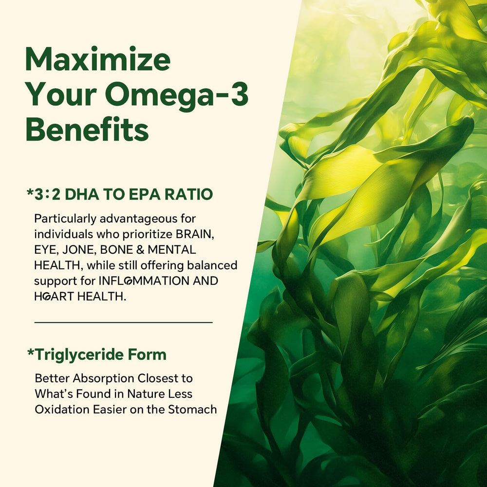 VEETAGYO brain health focus with DHA and EPA balance in gummies