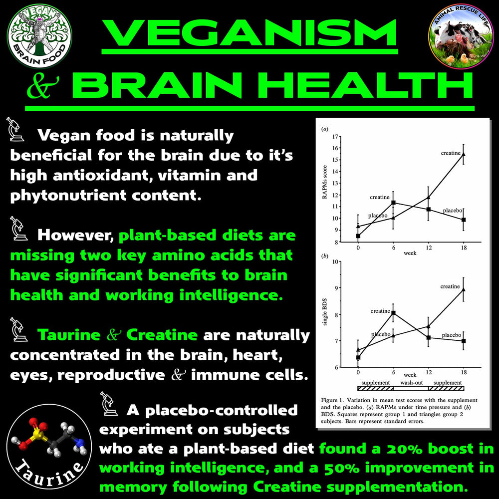 Vegan Brain Food ingredients-visual featuring creatine, taurine and beta-alanine-inspired profile