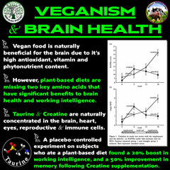 Vegan Brain Food ingredients-visual featuring creatine, taurine and beta-alanine-inspired profile