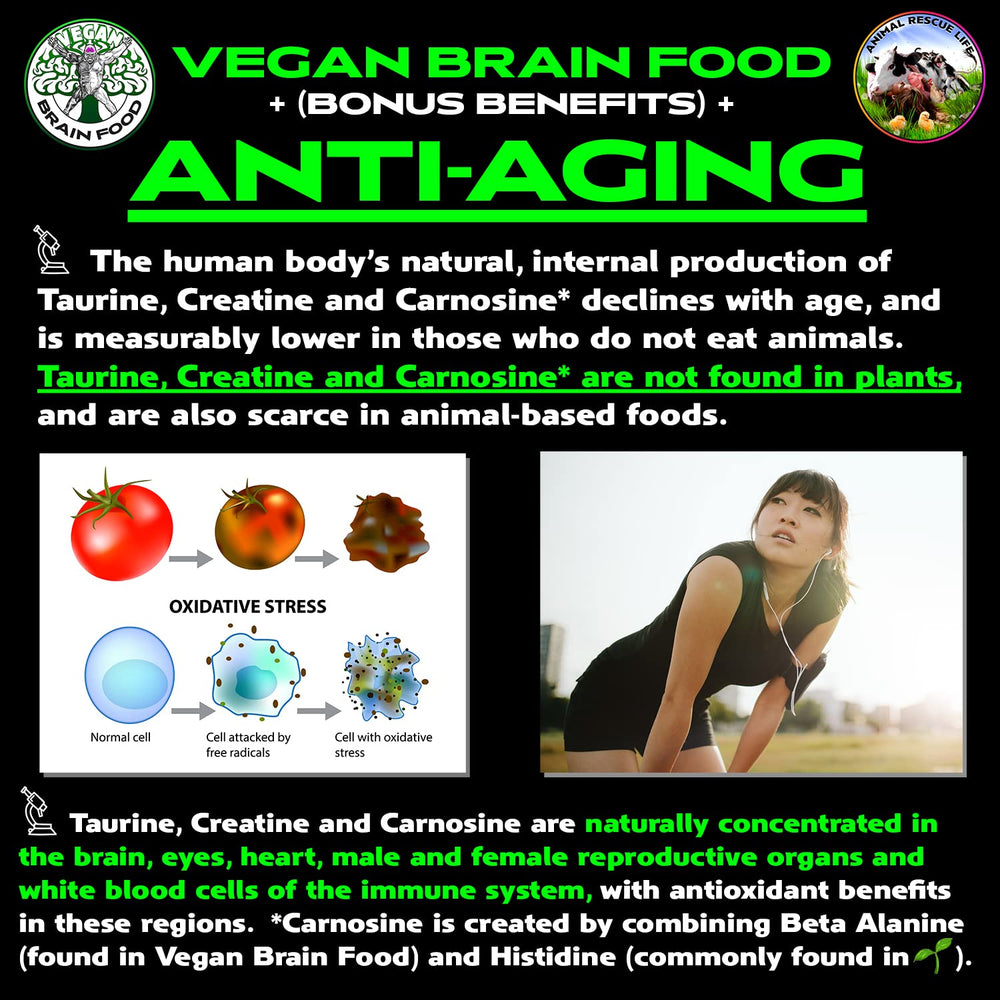 Vegan Brain Food scoop-dispense for consistent daily dosing