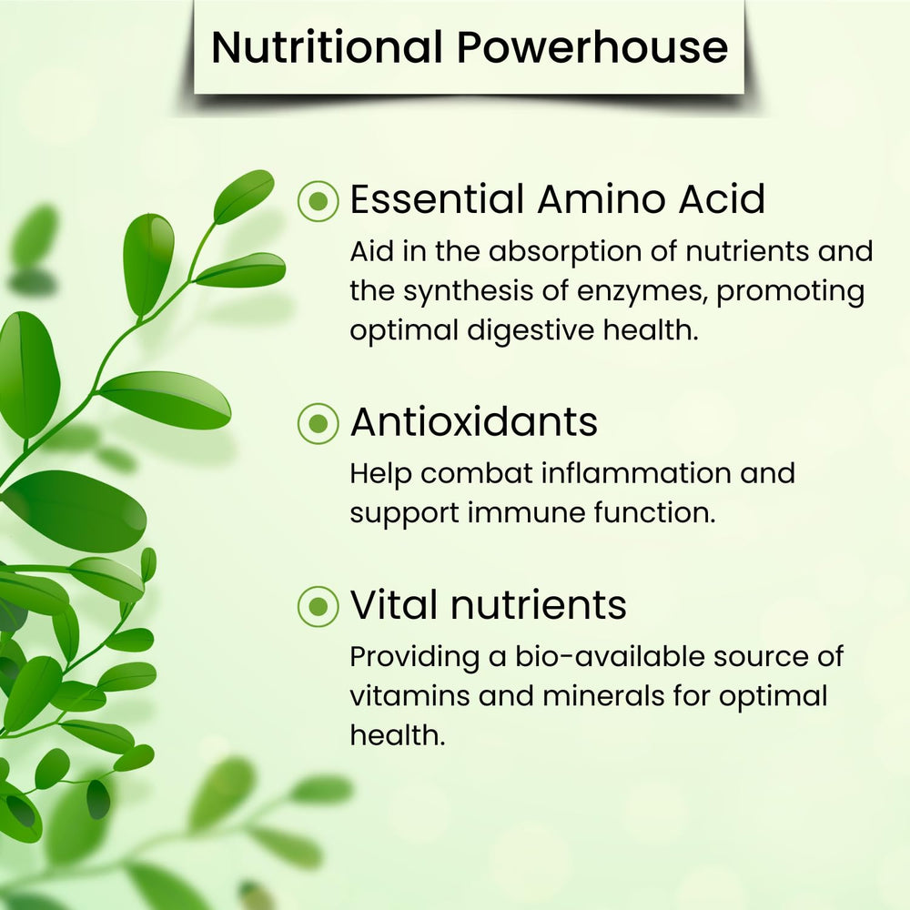 Organic Vegs Moringa Farm scene emphasizes sustainable harvest practices.