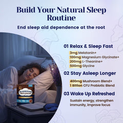Venture Pal Mushroom Cocoa blend bowl showcasing ingredients for a balanced evening routine.