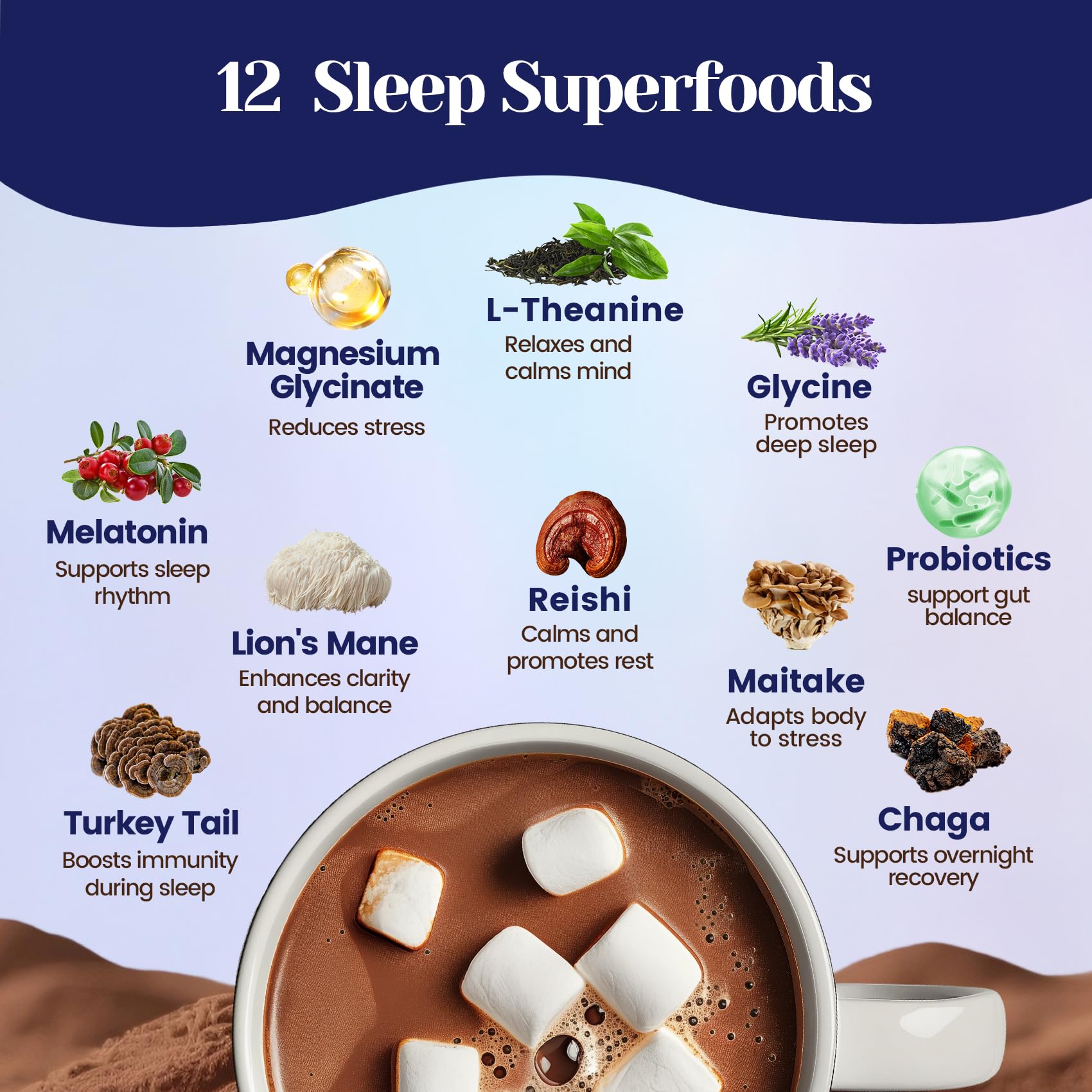 Venture Pal Mushroom Cocoa label closeup highlighting premium ingredients for calm nights.