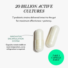 Close-up of Veracity Metabolic Defense capsules supporting digestion.