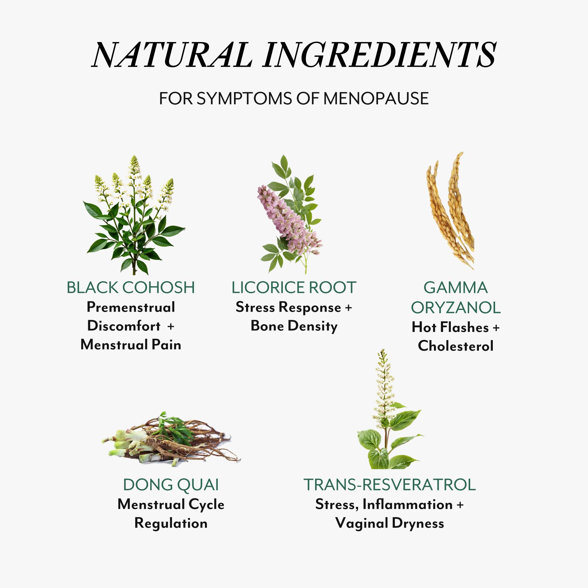Veracity Selfcare menopause support label front, vegan formula for balanced well-being
