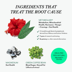 Ingredients detail: Metabolaid and Green Coffee Bean in Veracity Ignite.