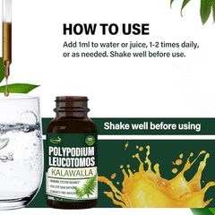 Verdeherb bottle with glass packaging promotes eco-friendly herbal care