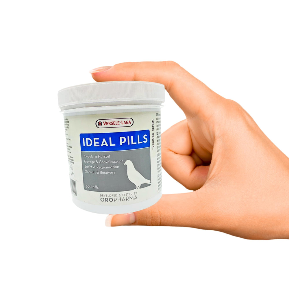 Versele-Laga Ideal Pills dosing scene with morning and evening