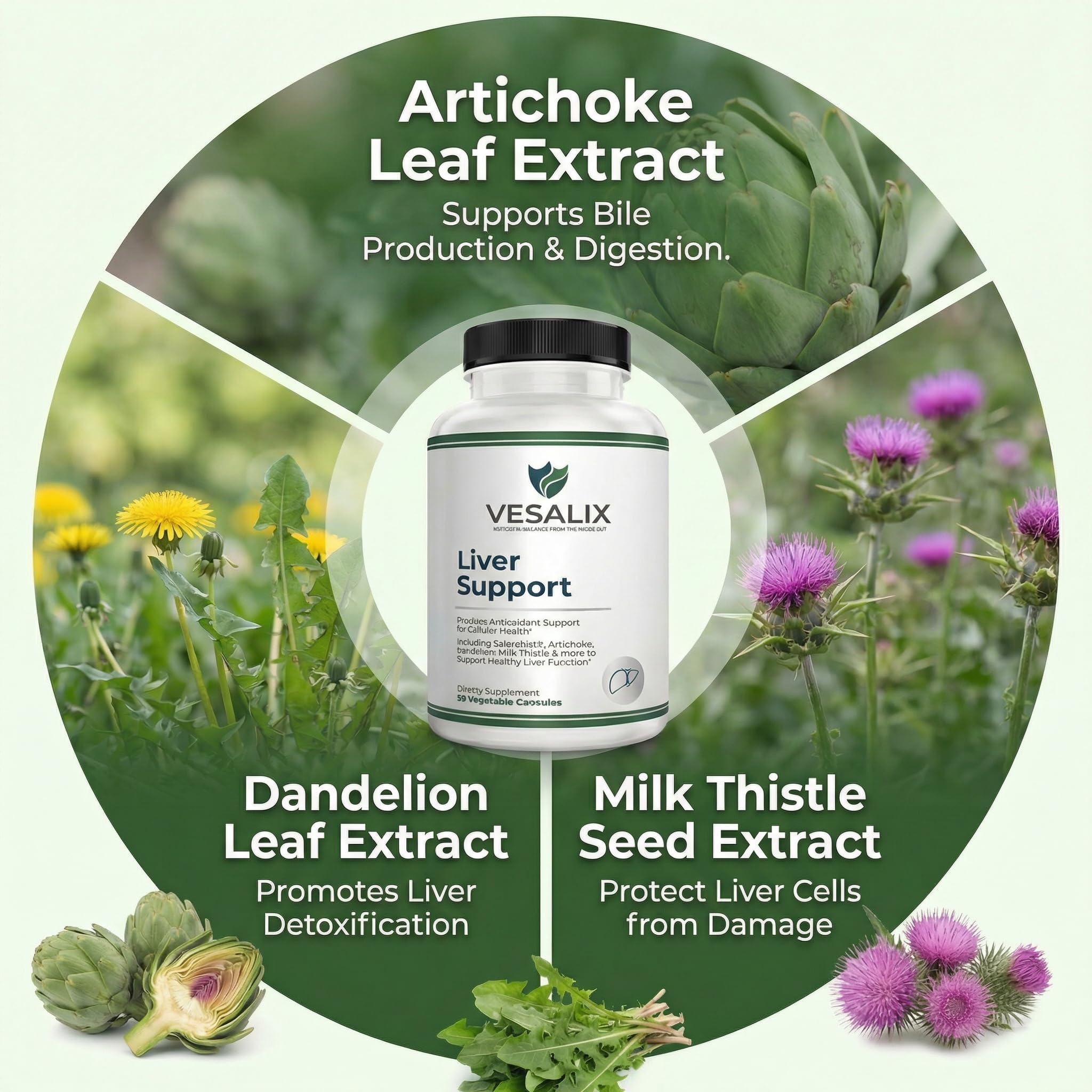 VESALIX digestive enzyme blend image, aids nutrient absorption