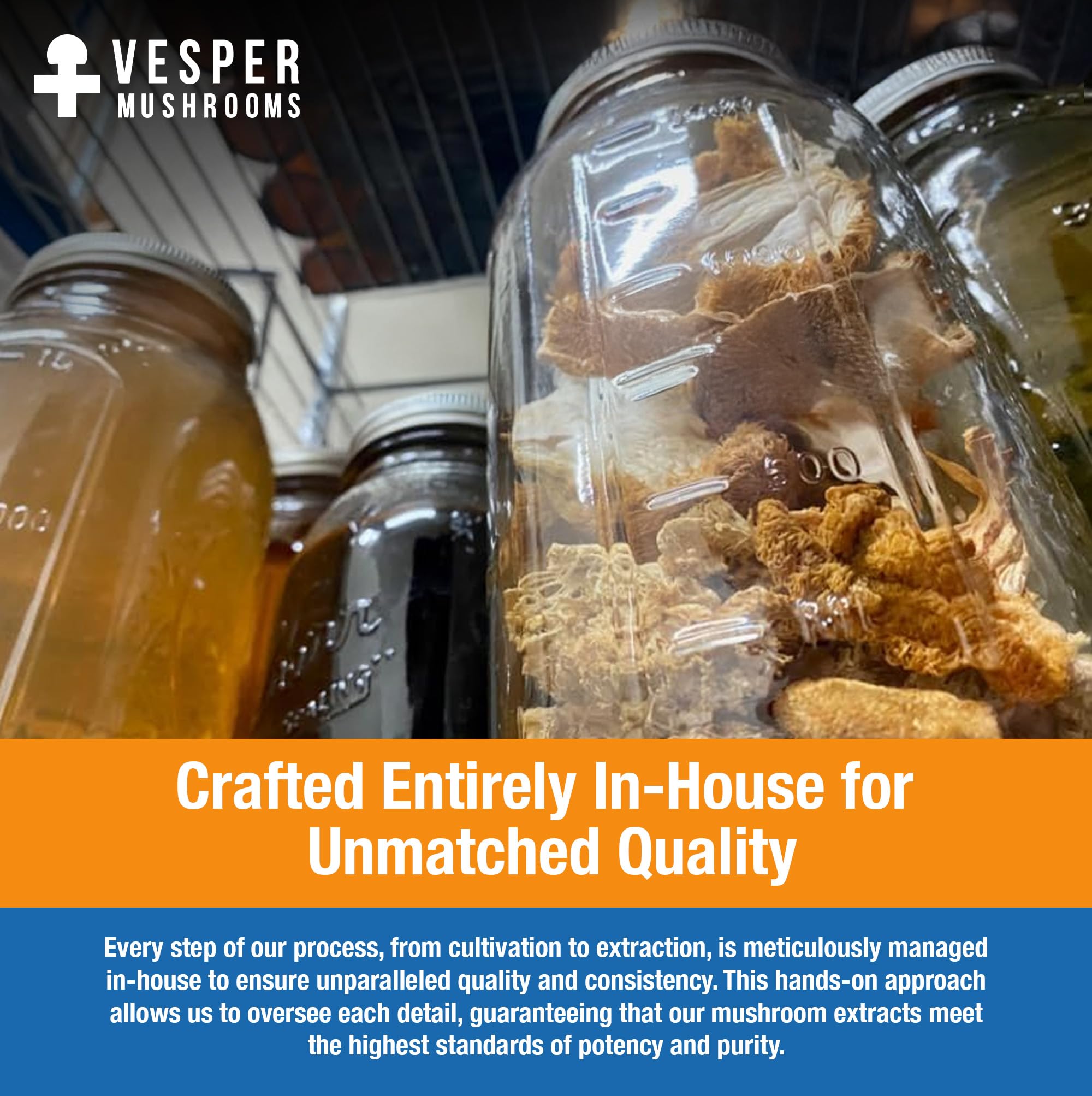 Vesper Turkey Tail liquid extract USA-grown emphasizes purity.