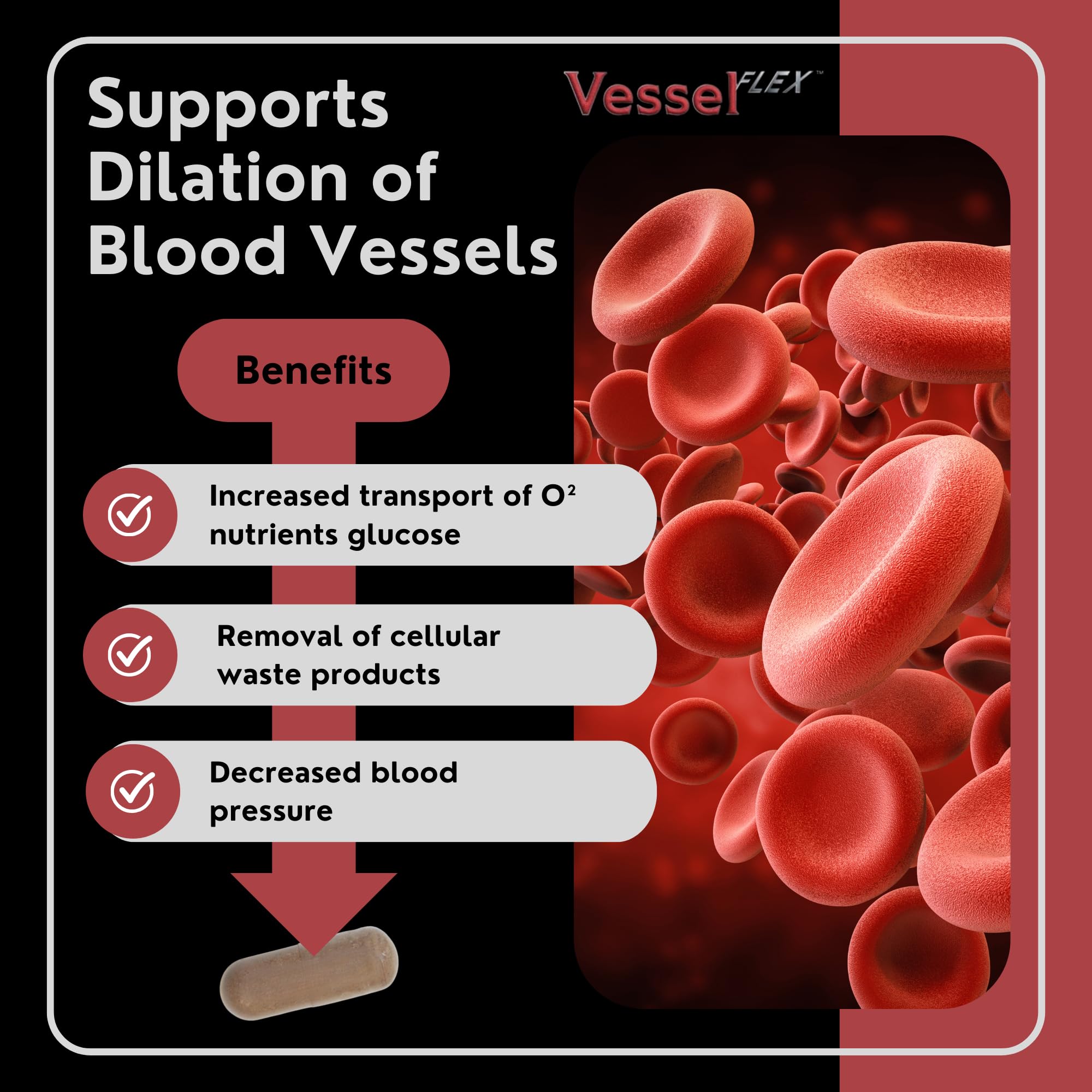 VesselFLEX capsules in hand illustrate easy daily dose