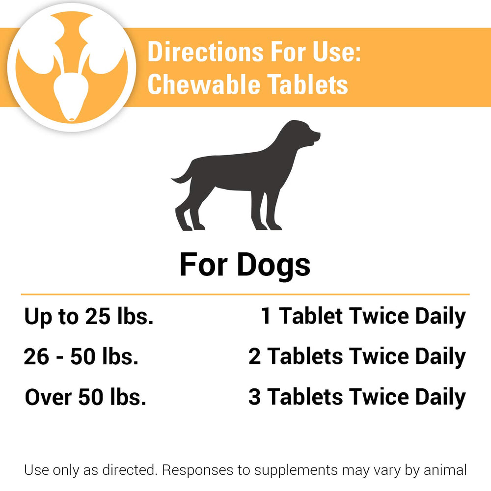 Vet Classics Resources dog owner using supplement as part of daily routine.
