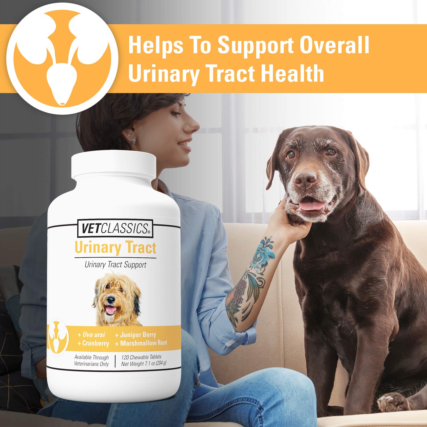 Vet Classics Resources natural botanicals and mushrooms ingredients highlight holistic dog wellness.