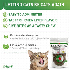 Kitten-friendly packaging of Enisyl-F Lysine Bites