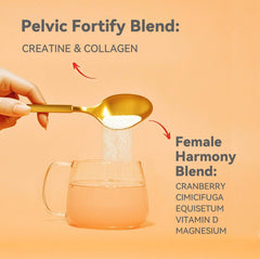 Vevoec Gynable ingredients-cranberry-horsetail illustrating botanical components