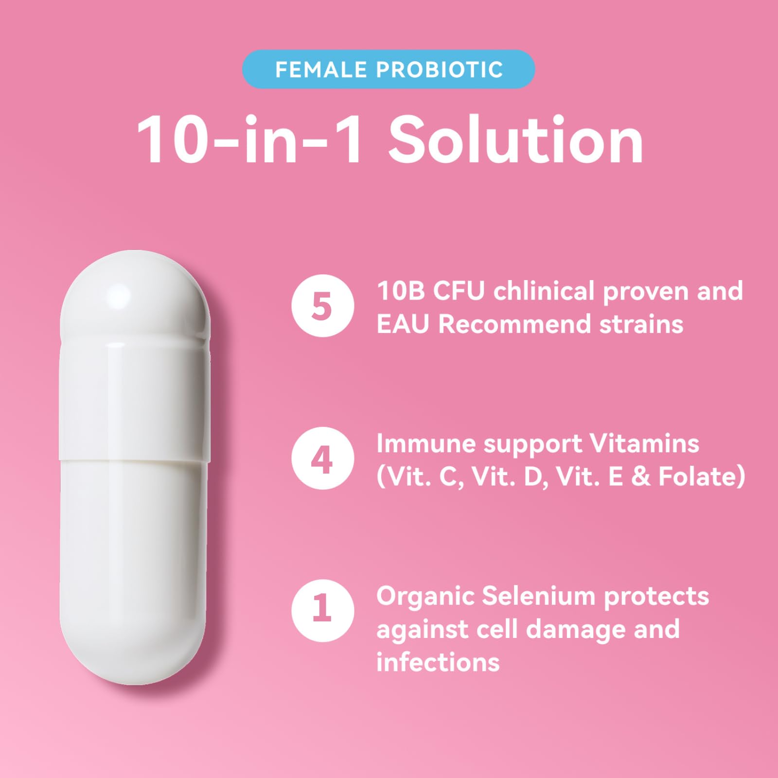 Vevoec Gynable product shot showing premium feminine probiotic capsules.