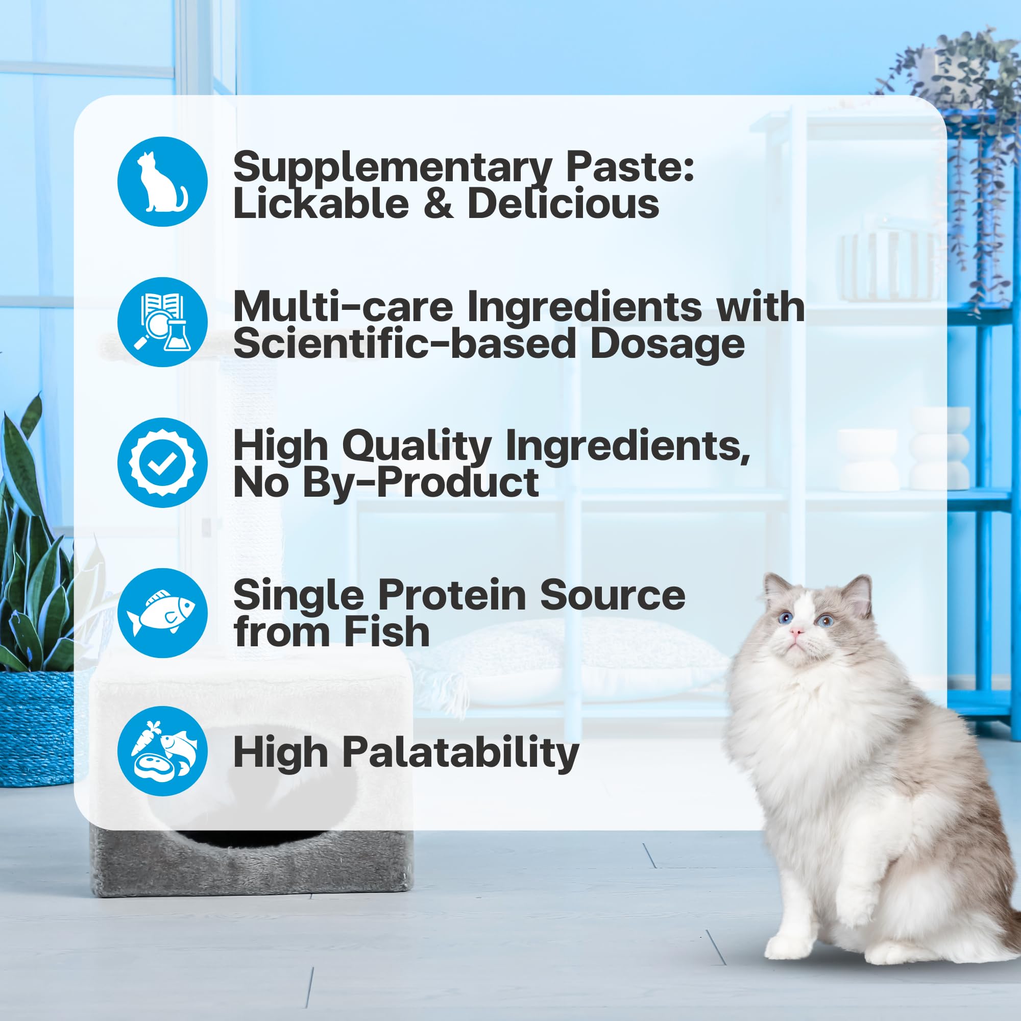 VFCARE lysine for cats ingredients panel with natural antioxidants.