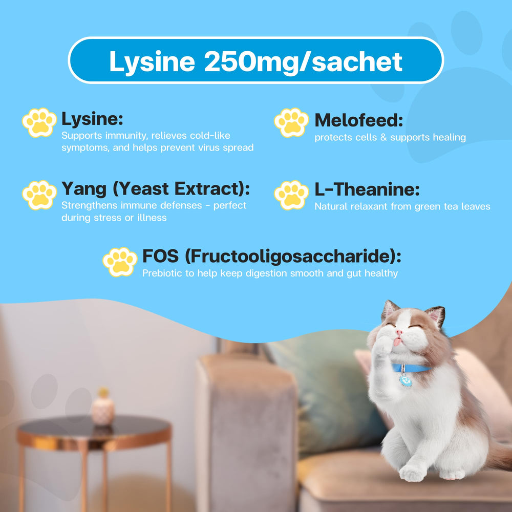 VFCARE lysine for cats treat-dispense shows easy integration with meals.