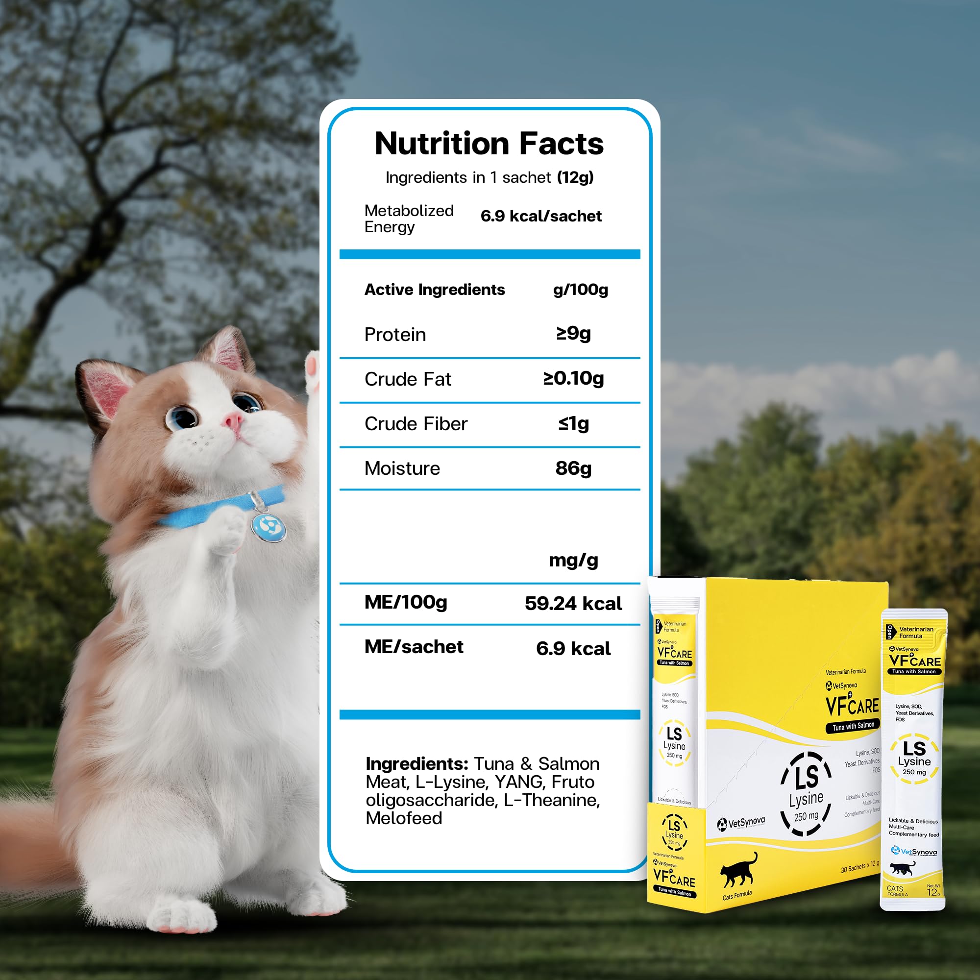 VFCARE lysine for cats vet-recommendation seal indicating trusted option.