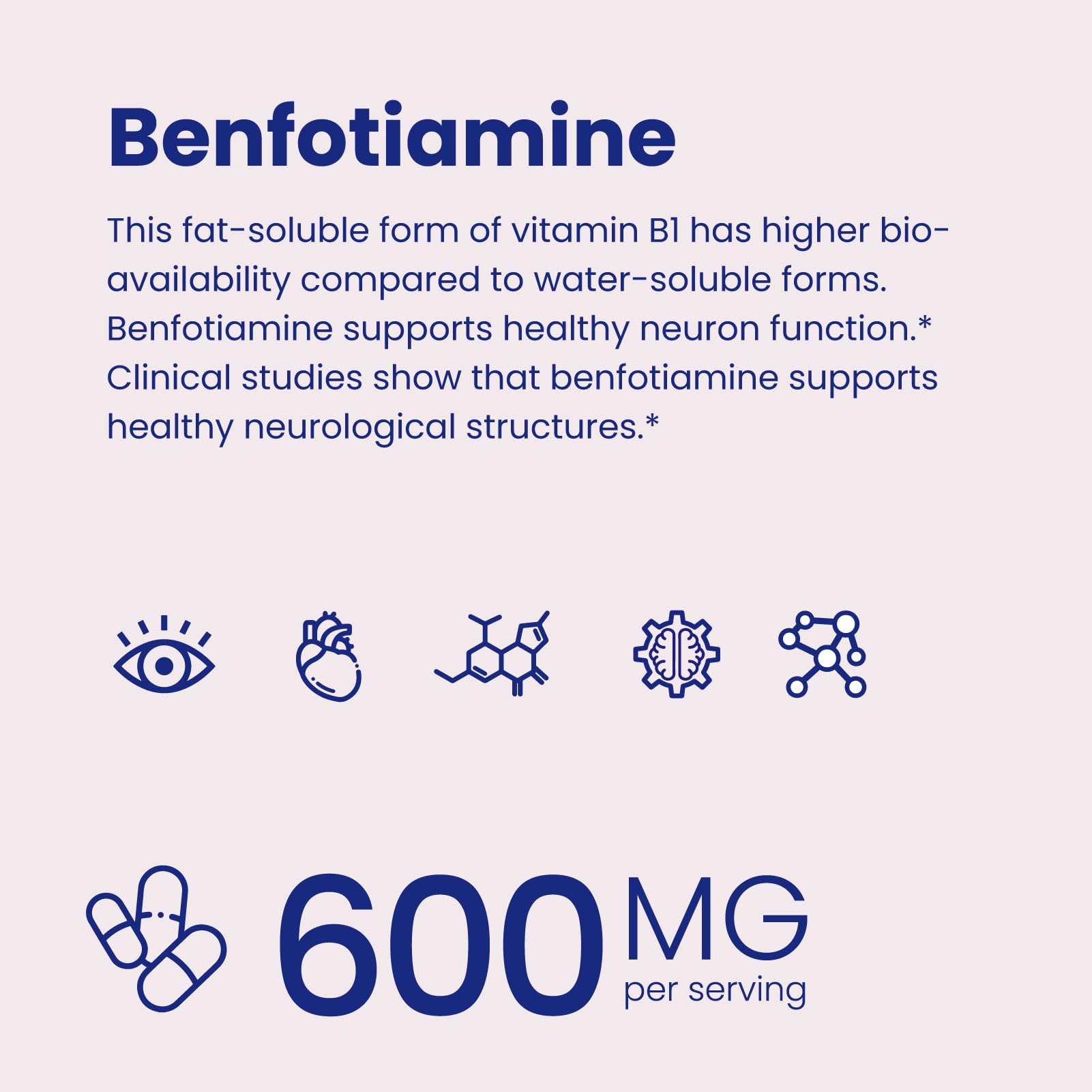 Front view of VHC Benfotiamine bottle encourages easy daily use.