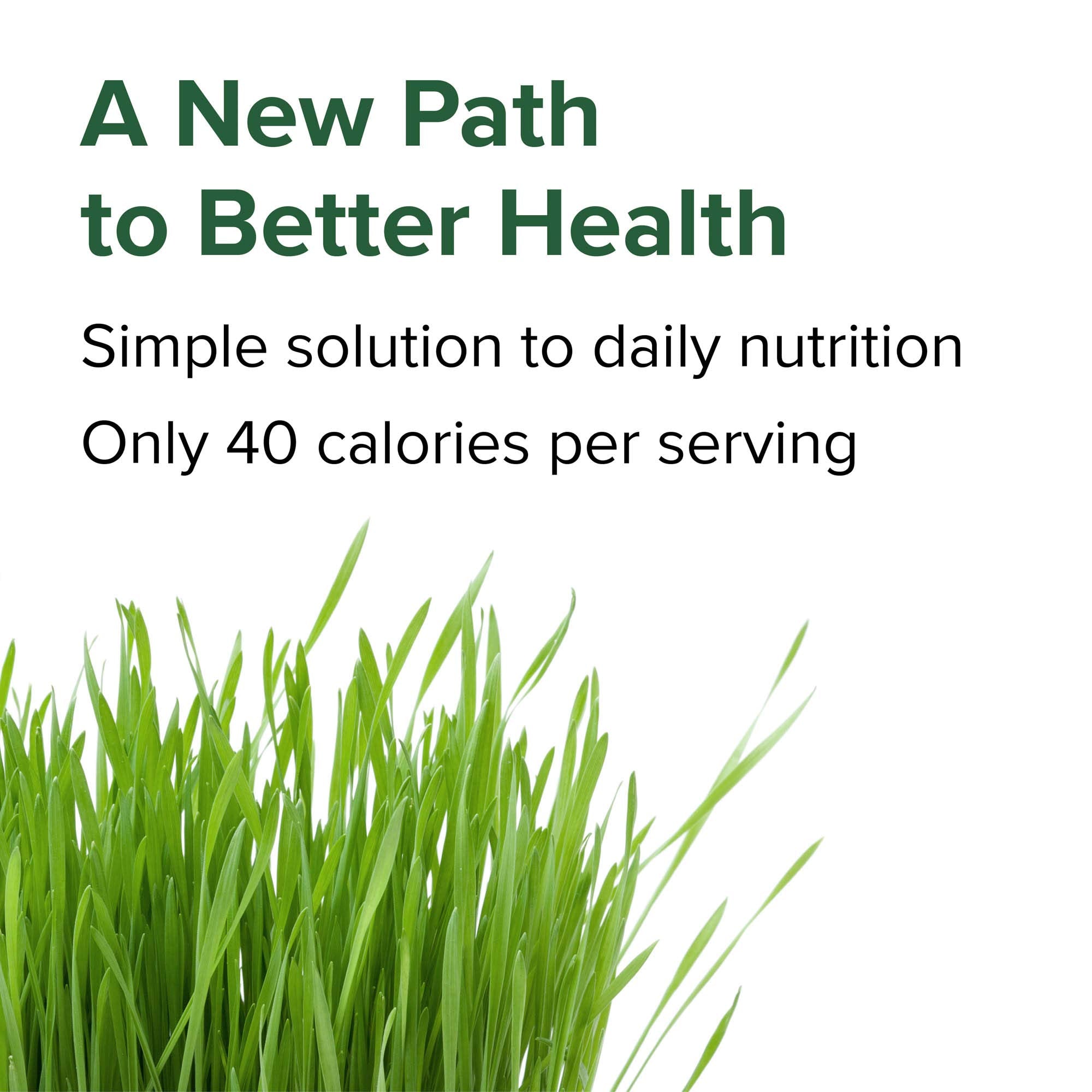 Vibrant Health Green Vibrance ingredients panel emphasizes nutrient-dense superfoods.