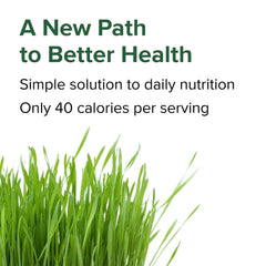 Vibrant Health Green Vibrance ingredients panel emphasizes nutrient-dense superfoods.