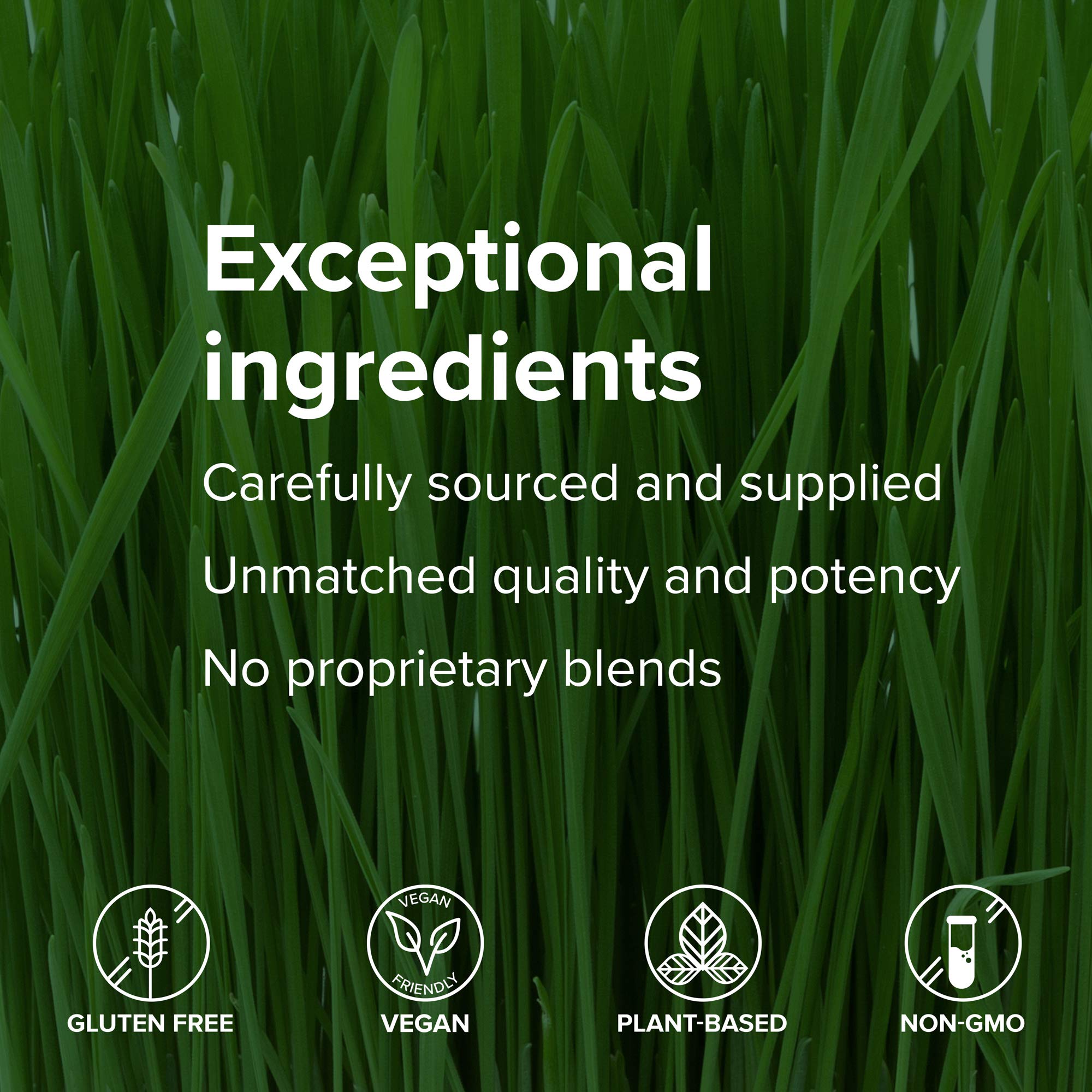Vibrant Health Maximum Vibrance plant protein 20g supports energy and satiation.