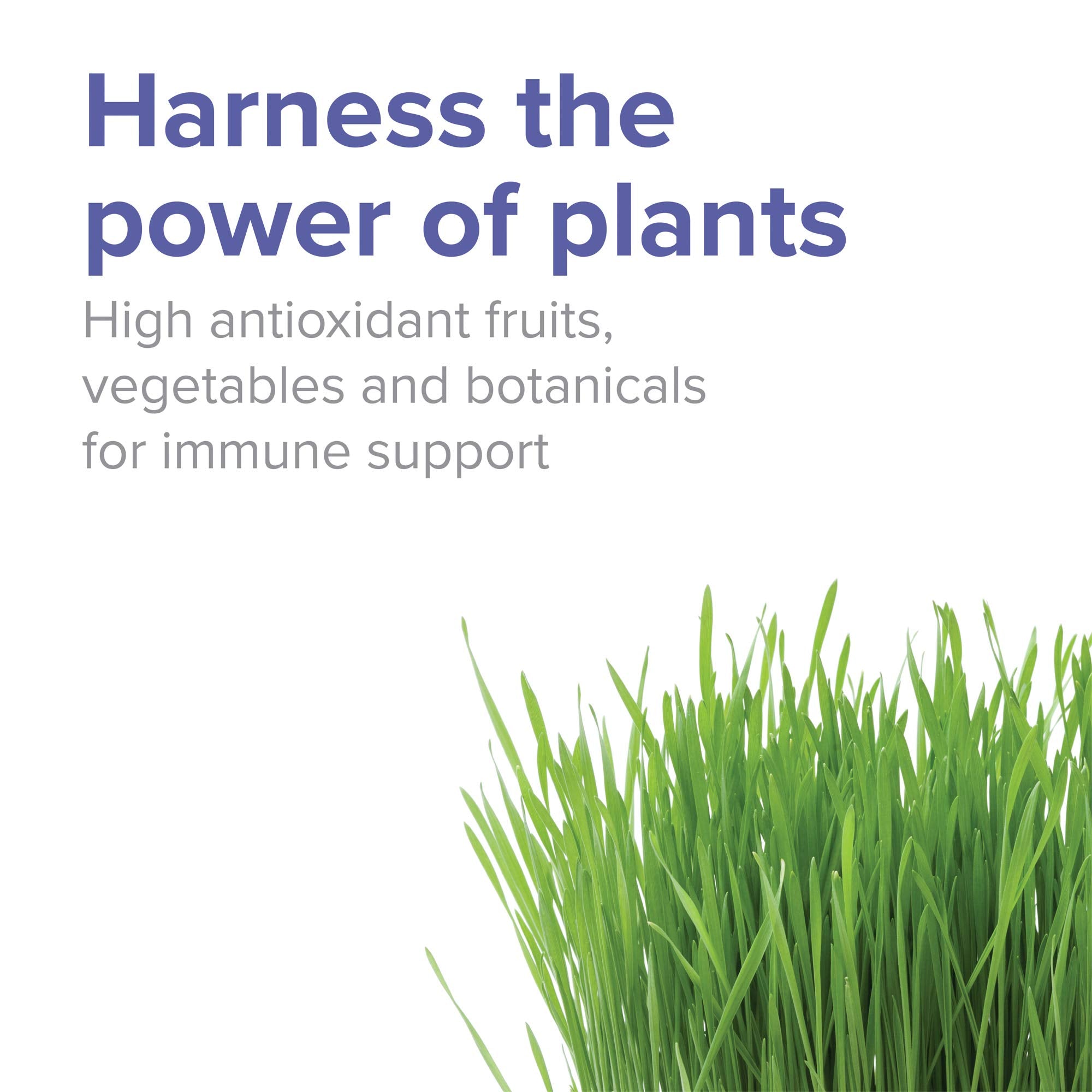 Vibrant Health Spectrum Vibrance ingredients closeup highlighting antioxidant-rich components.