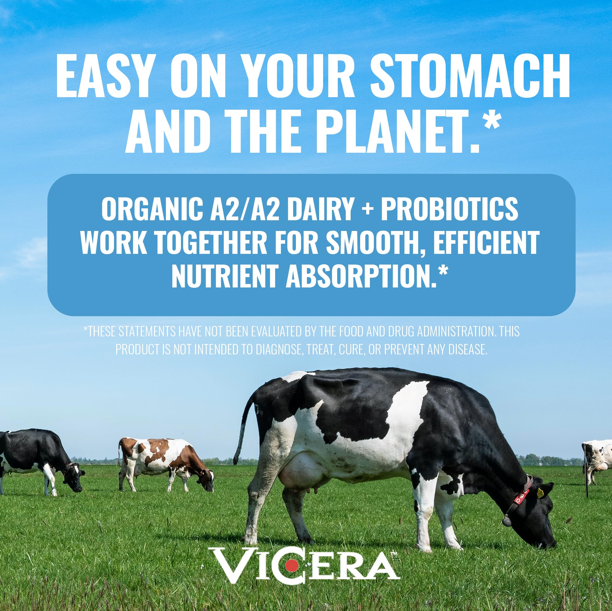 VICERA A2 label close-up highlighting organic and gluten-free formula.