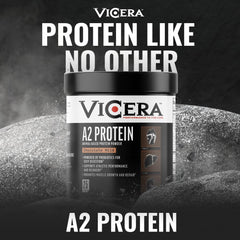 Non-GMO and gluten-free label featured with VICERA A2 powder.