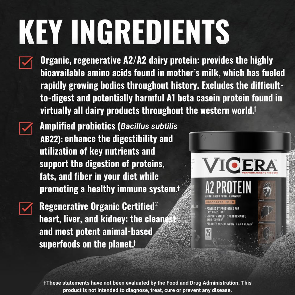 Probiotics and Celtic sea salt icons beside VICERA A2 on countertop.