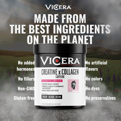 VICERA probiotic Bacillus subtilis AB22 on packaging supports digestion.