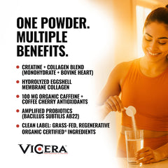 VICERA gluten-free, non-GMO formula highlighted on ingredient label.