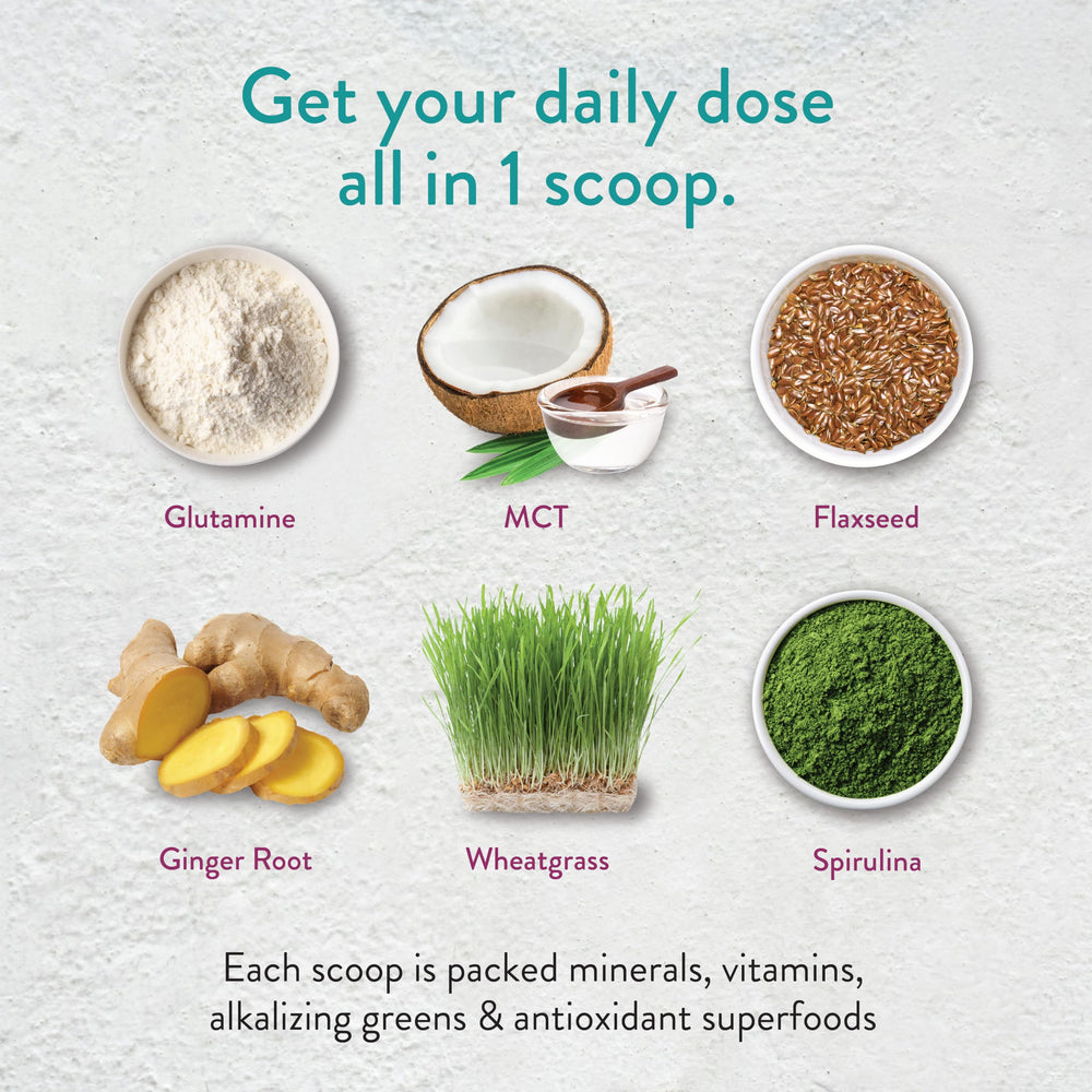 VIDAPURA Keto-Green Protein chocolate powder scoop ready to mix